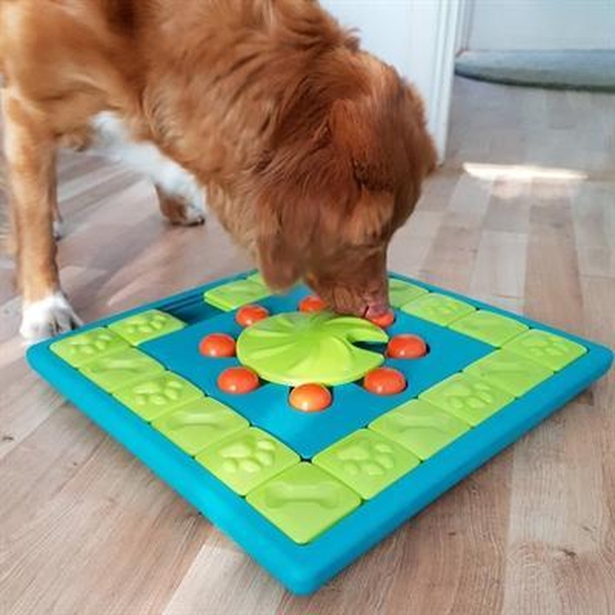Nina Ottoson intelligentiespeelgoed multi puzzel