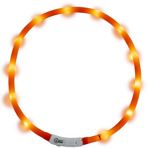 Jack and Vanilla LED Halsbanden - Verkrijgbaar in 4 kleuren Classies