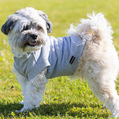 Beeztees Palu Hoodie Hondentrui - Lichtgrijs - Ruglengte: 32 cm Classies