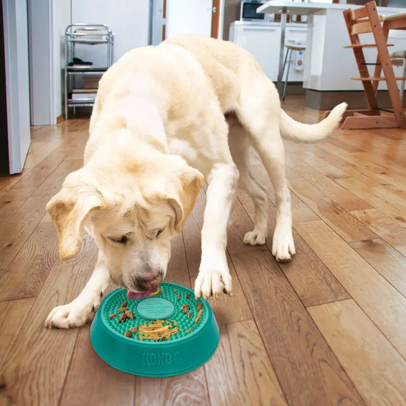 Kong hond licks spinz large groen Classies