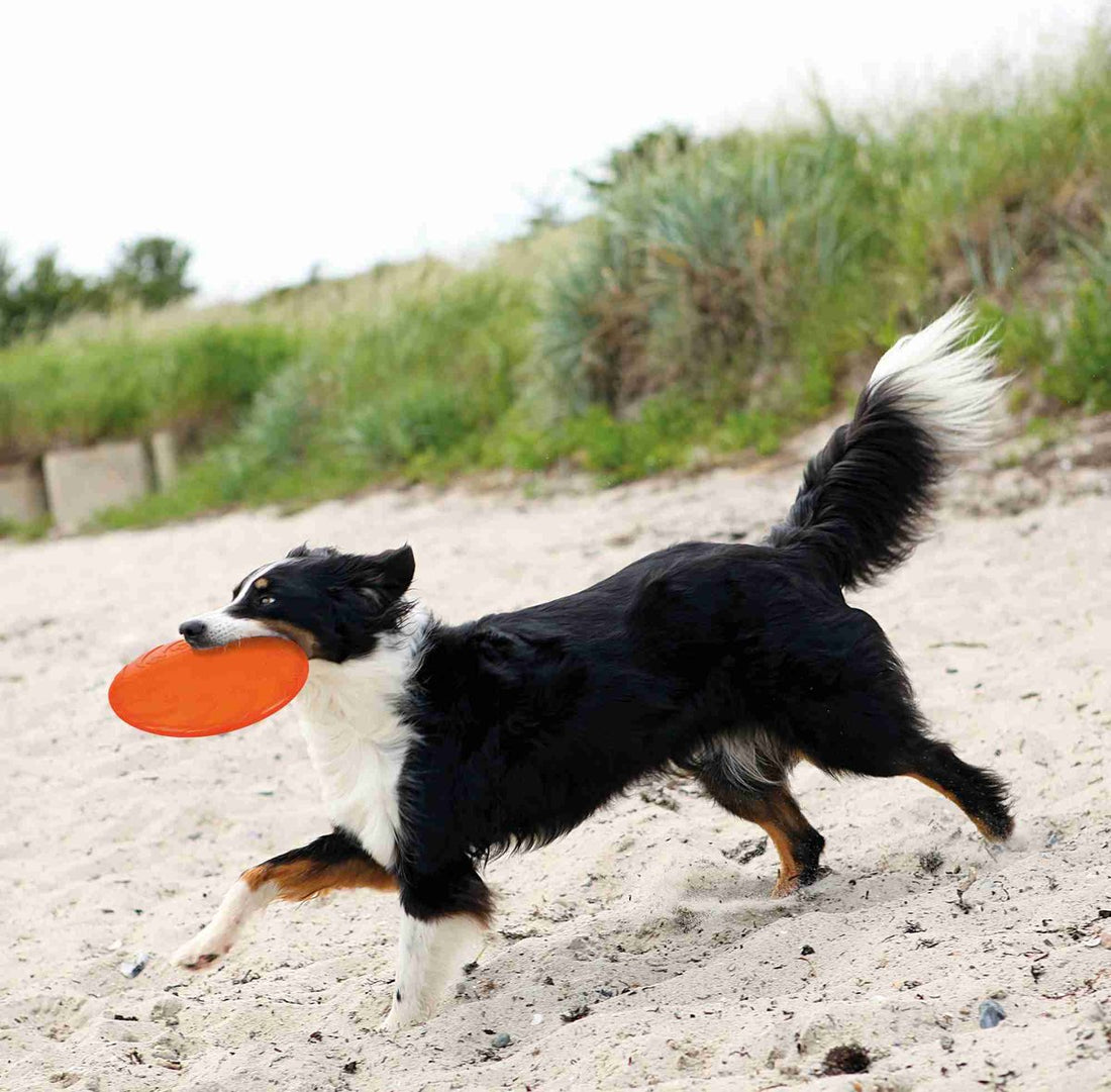 Trixie TPR Dog Disc - frisbee ø 18 cm