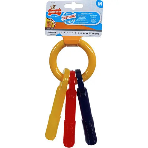 Nylabone puppy chew teething key - sleutelhangers Classies