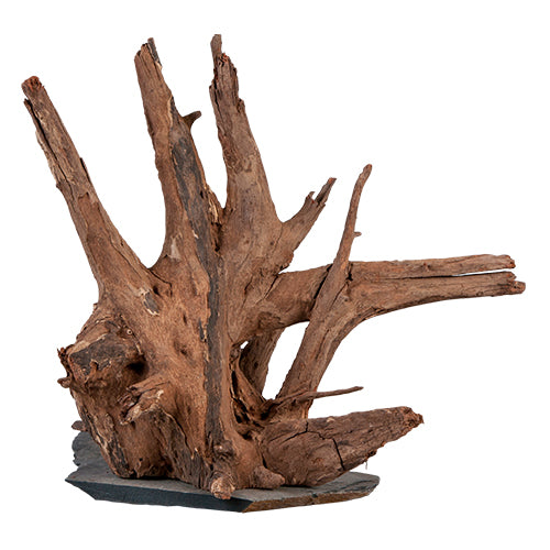 Sera Scaper Holz auf Schieferplatte