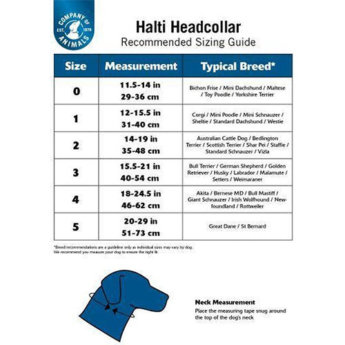Company Of Animals Halti Hoofdhalsband - Anti Trek Harnas - Zwart - Maat 3 - Nekomtrek: 40-54 cm Classies