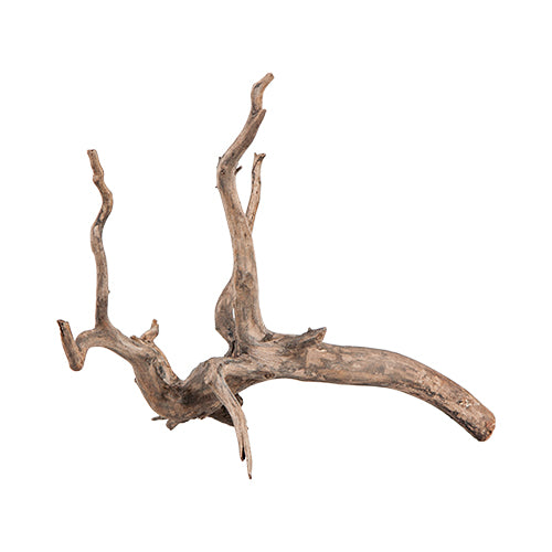 sera Scaper Root