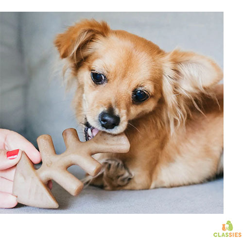 Benebone - fishbone - knaagspeelgoed kleine tot grote hond - 4 maten
