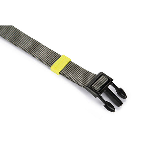 Beeztees Uni Nylon Hondenhalsband - Donkergrijs - Nekomtrek: 35-50 cm Classies
