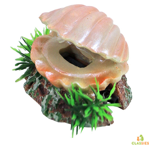 Boon Aqua Deco Ornament bubbel - Schelp met Uitstromer - 5,5 cm