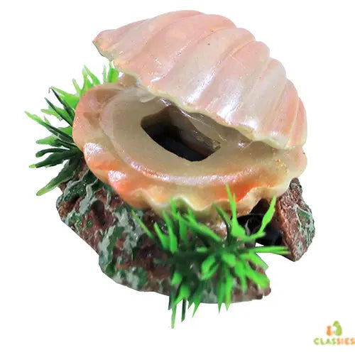 Boon Aqua Deco Ornament bubbel - Schelp met Uitstromer - 5,5 cm Classies