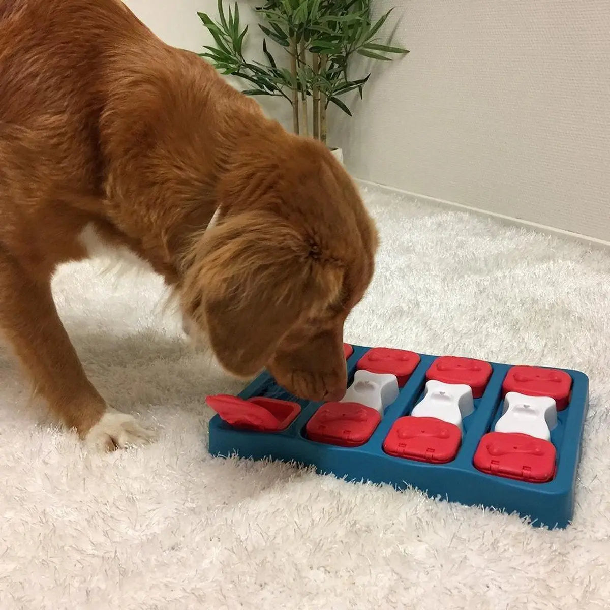 Nina Ottosson - Hondenspel - Dog brick Classies