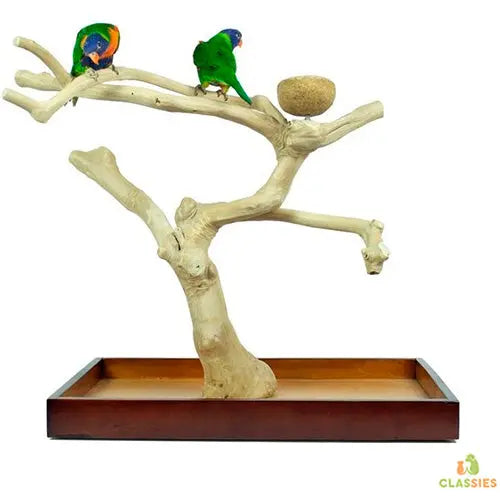 Back Zoo Nature Java speel stand Classies