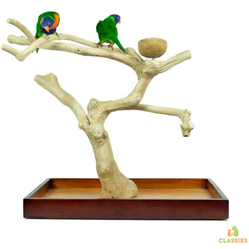 Back Zoo Nature Java speel stand
