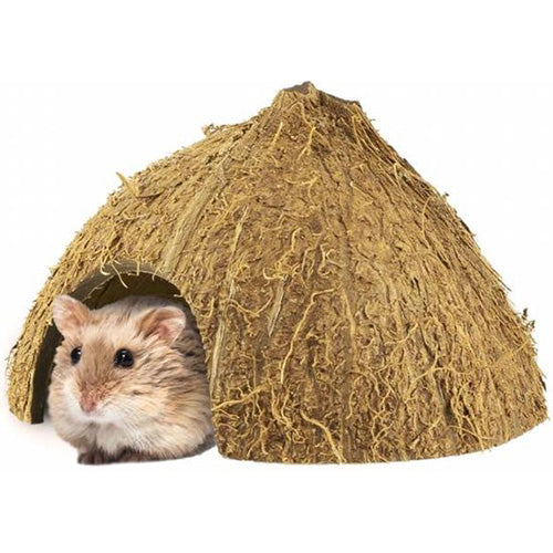 Back Zoo Nature Coco Hiding Cave - Afmetingen: 8 - 12 cm Classies