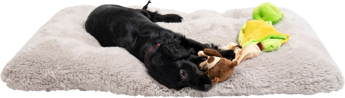 Jack And Vanilla Baby Hug Deken Beer - Puppyspeeltje - Kalmerend speeltje hond of pup