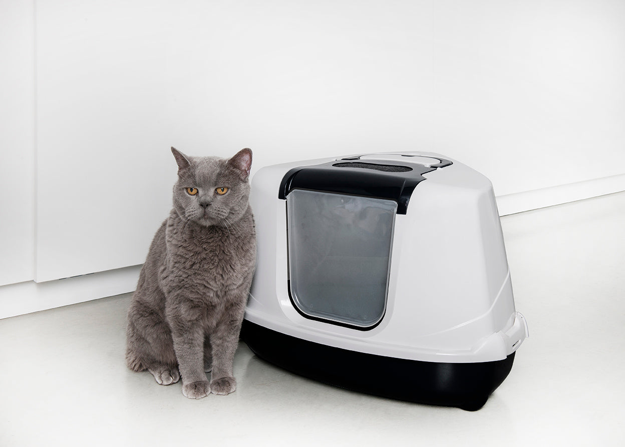 Moderna Flipcorner Katzentoilette - Ecktoilette - 55,7 x 45,1 x 38,2 cm