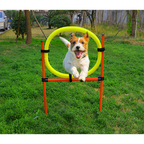 Agility-set 6x stok 1x springring en 1x agility-horde Classies