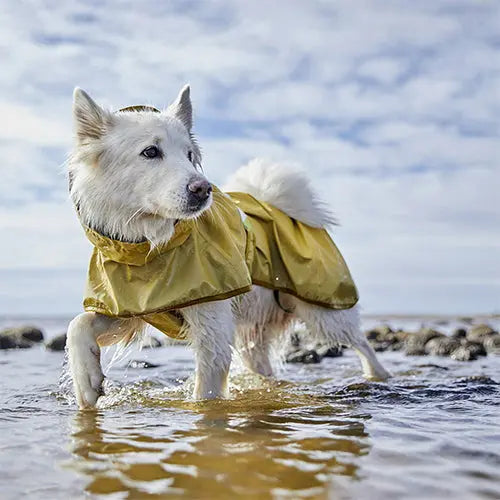 Hurtta - Mudventure Coat - 4 seizoenen regenjas - geel - grijs - bordeaux Classies