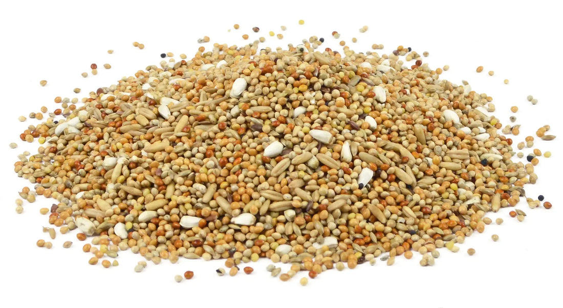 Vogelvoer Bird-X Perruchemengeling parkietenmengeling Cardy 1 - 2,5 - 5 - 20 kg Classies