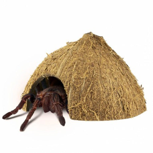 Back Zoo Nature Coco Hiding Cave - Afmetingen: 8 - 12 cm Classies