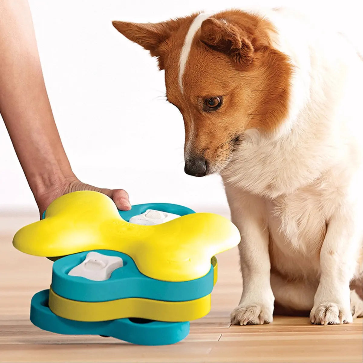Dog Tornado Blu Classies