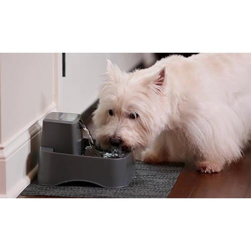PetSafe Drinkwell drinkfontein, 1,8 liter Classies