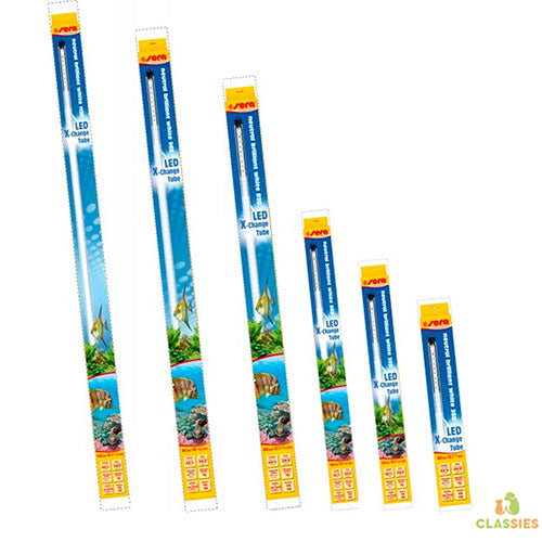 sera LED-Beleuchtung Brilliant White