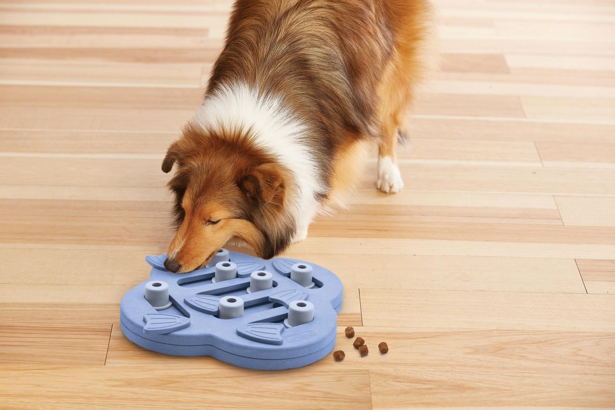 Nina Ottosson Hundeversteck und Rutsche, zusammengesetzt, 33 x 33 x 5 cm