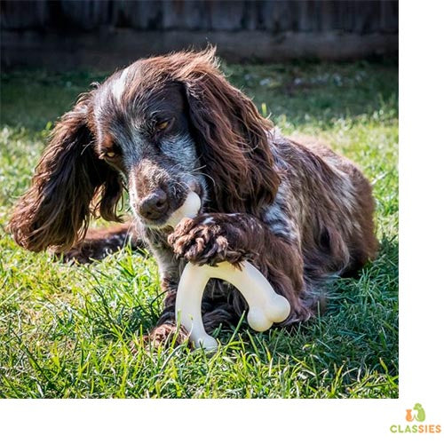 Nylabone Durachew Wishbone Wolf – 14 x 12 cm M