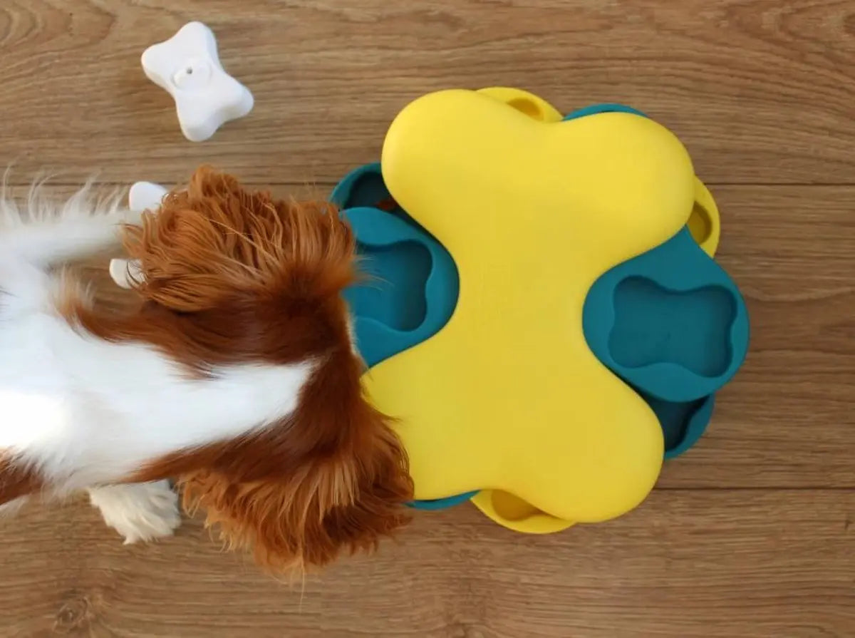 Dog Tornado Blu Classies