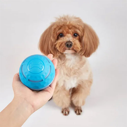 Fofos rolling bal leuke speelbal met lichtjes Ø 8.5 cm