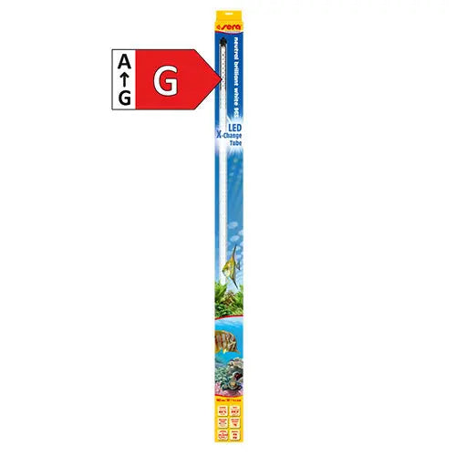 sera Led verlichting Brilliant White Classies