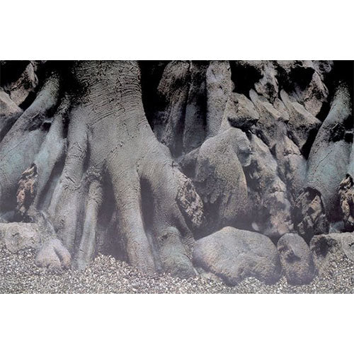 Superfish deco poster d3 100x49 cm