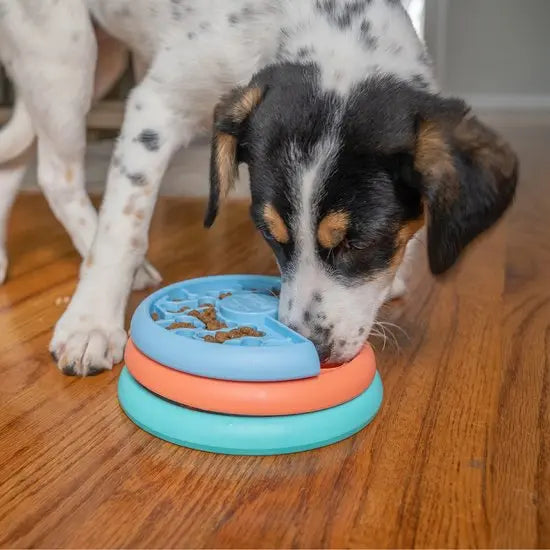 Nina Ottosson hondenspel puppy lickin’layers - likmat voor puppies Classies