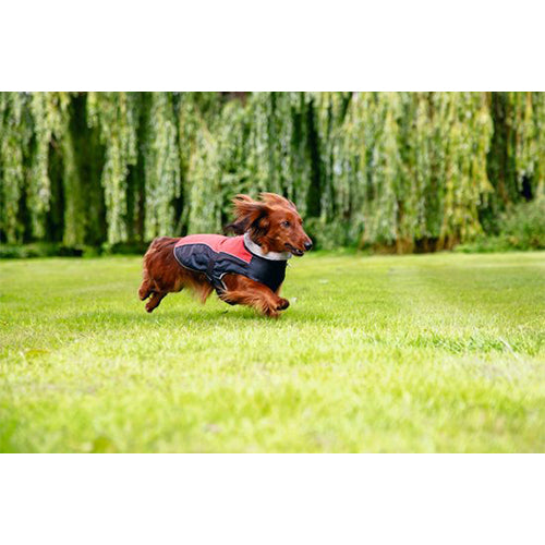 Beeztees Saby Waterproof Hondenjas - Rood/Zwart - Ruglengte: 24 cm Classies