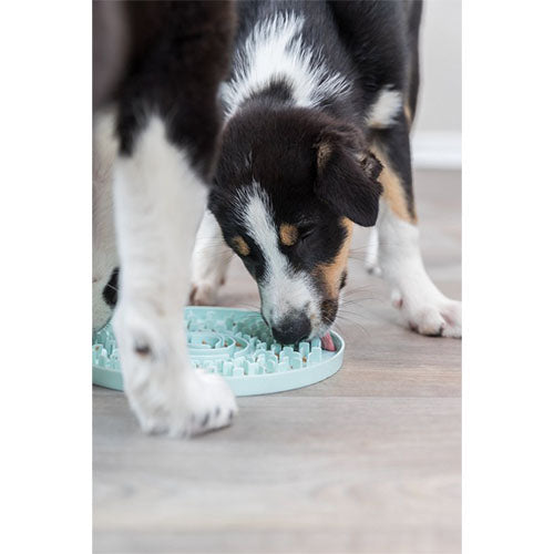 Trixie Junior Anti Schrokbak - Likplaat - Mintgroen - 21X21 cm Classies