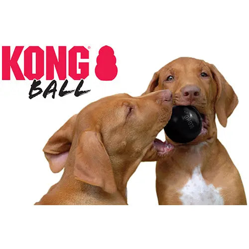 Kong Extreme rubber bal Classies