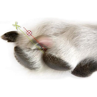 Trixie Nagelschaar Nagelknipper - 16 cm