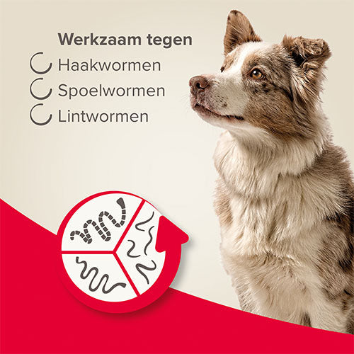 Beaphar Wormtabletten All-in-One Voor Honden