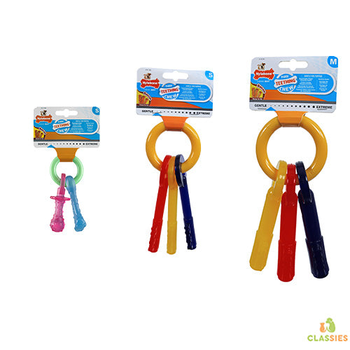 Clé de dentition à mâcher pour chiot Nylabone - porte-clés