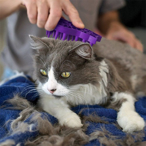 KONG Zoom Groom Rubber Kattenborstel - 11 cm