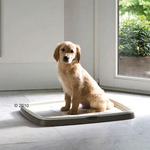 Kit de démarrage Savic Puppy Trainer - Avec toilettes et 7 coussinets - Taille L : 60x48x4 cm