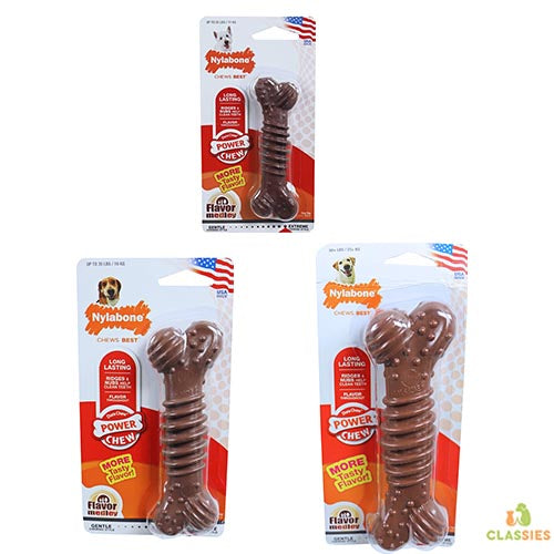 Nylabone dura mâche un os dur avec un mélange