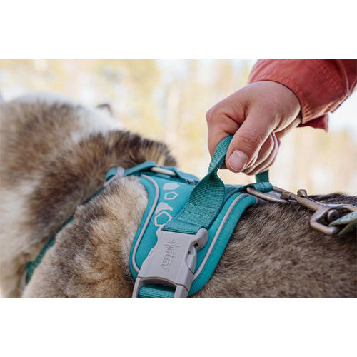 Hurtta hondenharnas - hondentuigje - weekend warrior