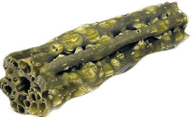 Knash Woofa Loofa Dental M met munt en peterselie – zak à 7 stuks - S of M