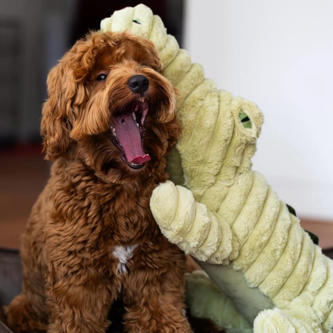 Quapas! Hundespielzeug mit Quietschern und Knistern - XXL Alligator 91cm