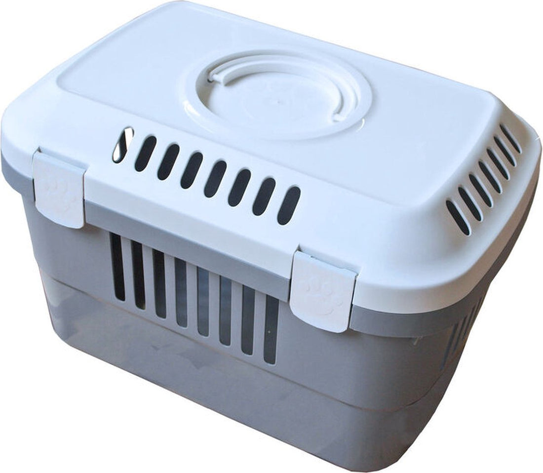 Reisekorb Discovery 1, grau/weiß, 48,5 x 33 x 32,5 cm