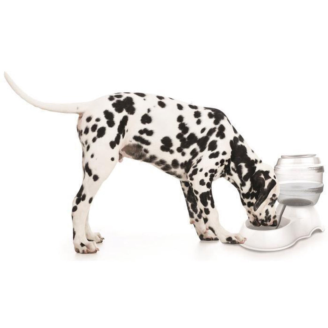 M-PETS waterdispensercilinder - 3500 ml - wit - voor hond