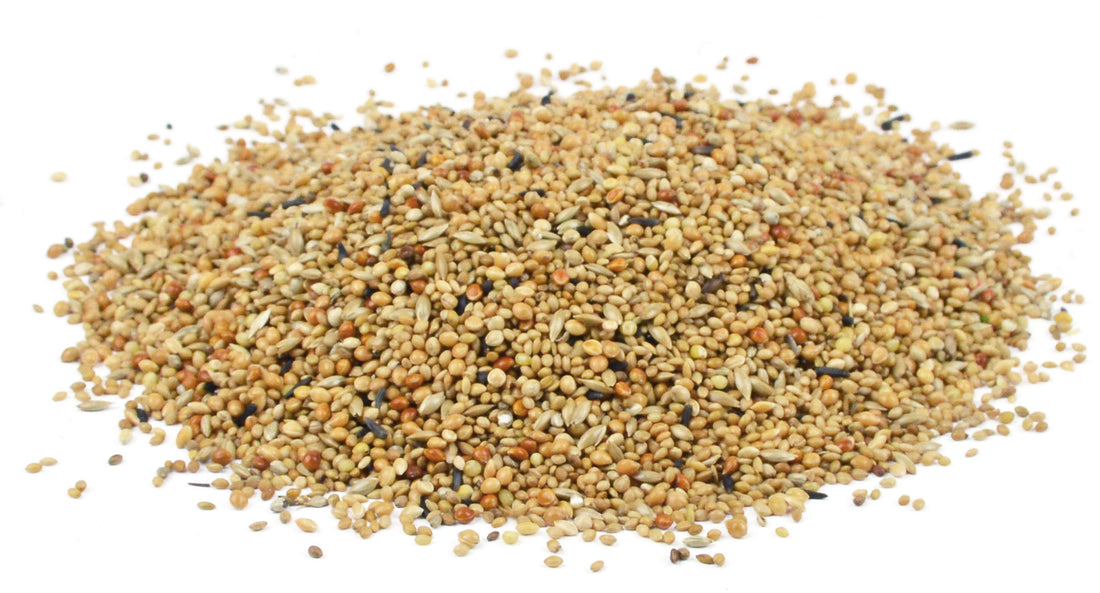 Vogelfutter Bird-X Exotische Mischung 1 - 2,5 - 5 - 20 kg