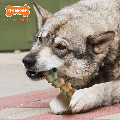Nylabone Extreme Chew Gator Tail - Kauwspeelgoed - Kipsmaak - Voor honden tot 23 kg