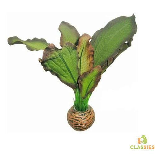 Superfish Easy Plants Voorgrond nr. 3, Kunstplant van zijde - 13 cm